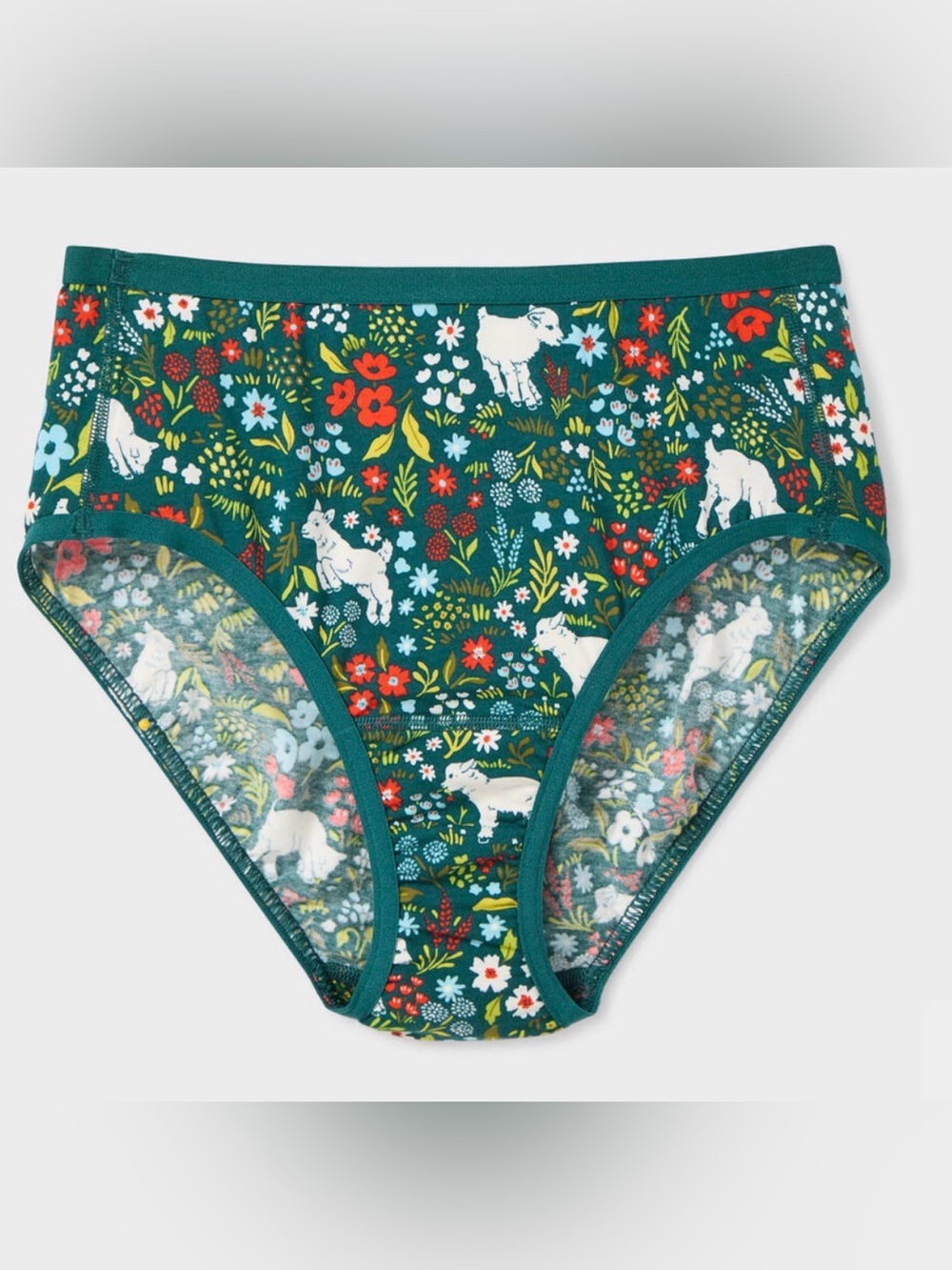 NWT Duluth Trading Womens Large Teal Goat Floral Organic Cotton Hipster Brief 2X